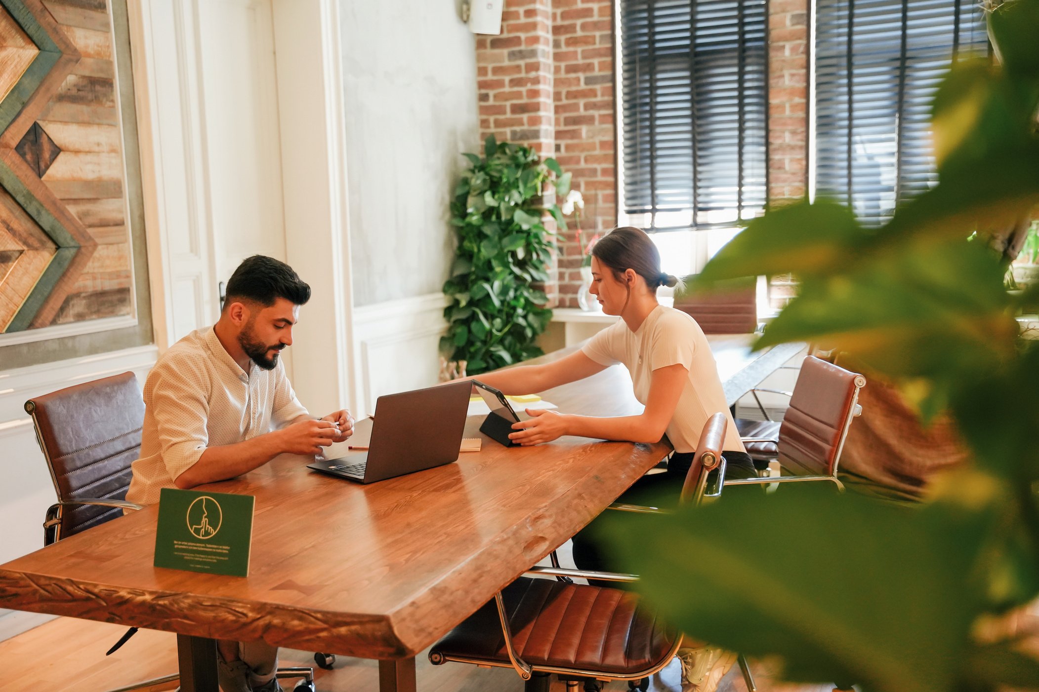 Colleagues Working in Eco-Friendly Office